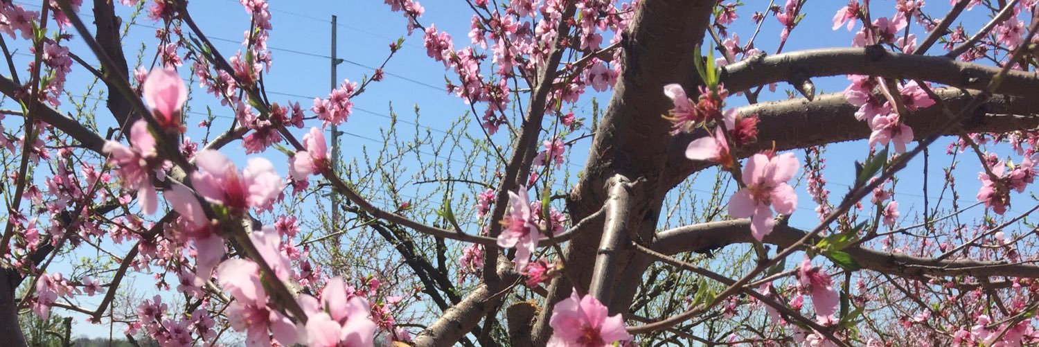 JulACap's profile banner image