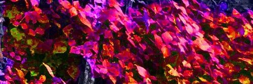 d'atamis immortalis banner