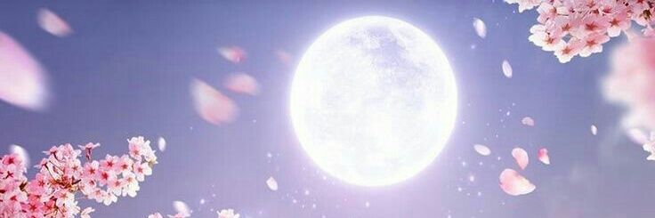 PixieSnowdove's profile banner image