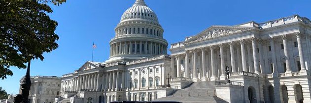 Shirley Davis banner