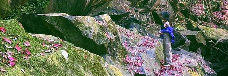 fusepchy's profile banner image