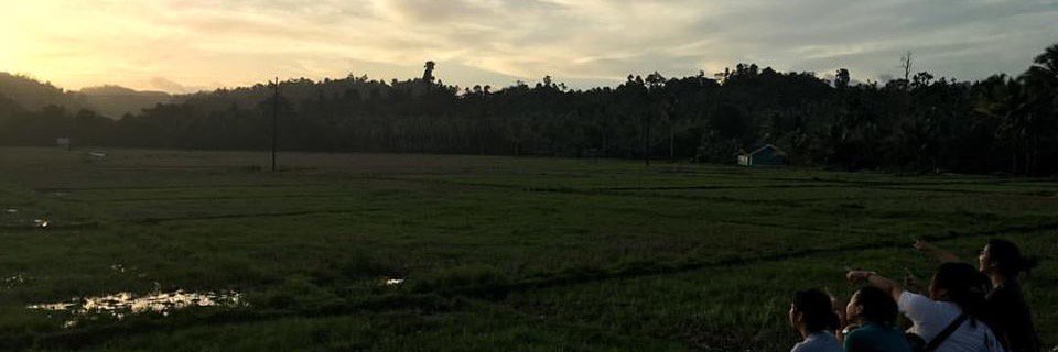 tinjazel's profile banner image