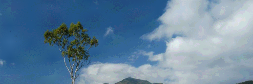 emmiejames_'s profile banner image
