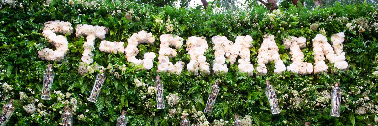 St-Germain Liqueur banner