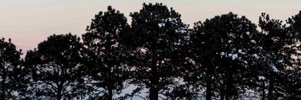 rfpvjr Profile Banner