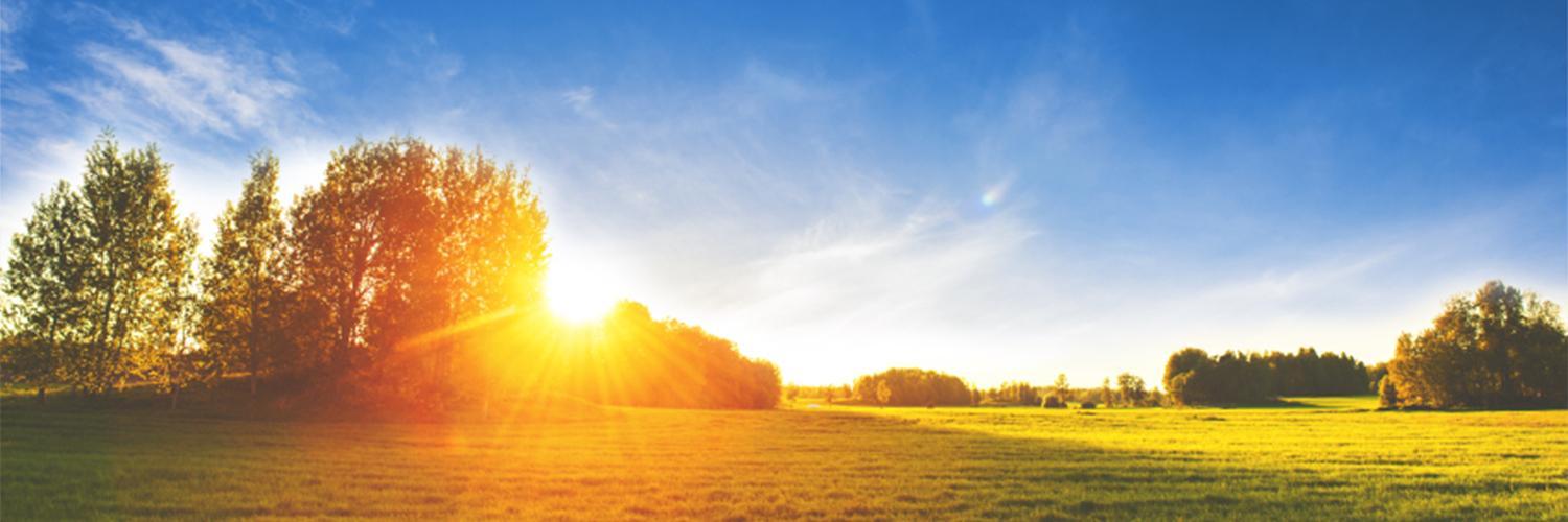 Svedea's profile banner image