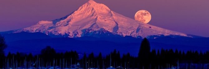 T1990_b's profile banner image