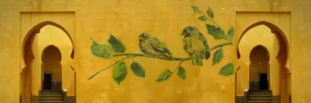 orhanerkan2's profile banner image
