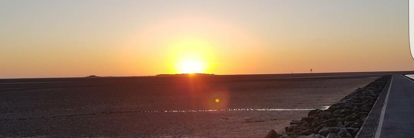 HaybobP's profile banner image