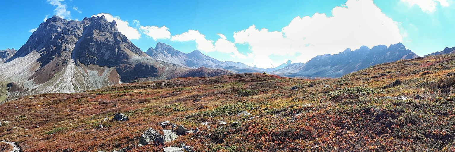 Carmen Schoder banner