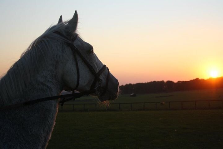 _MaddyTalbot's profile banner image