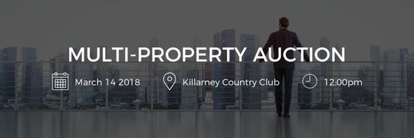 AuctionInc Profile Banner