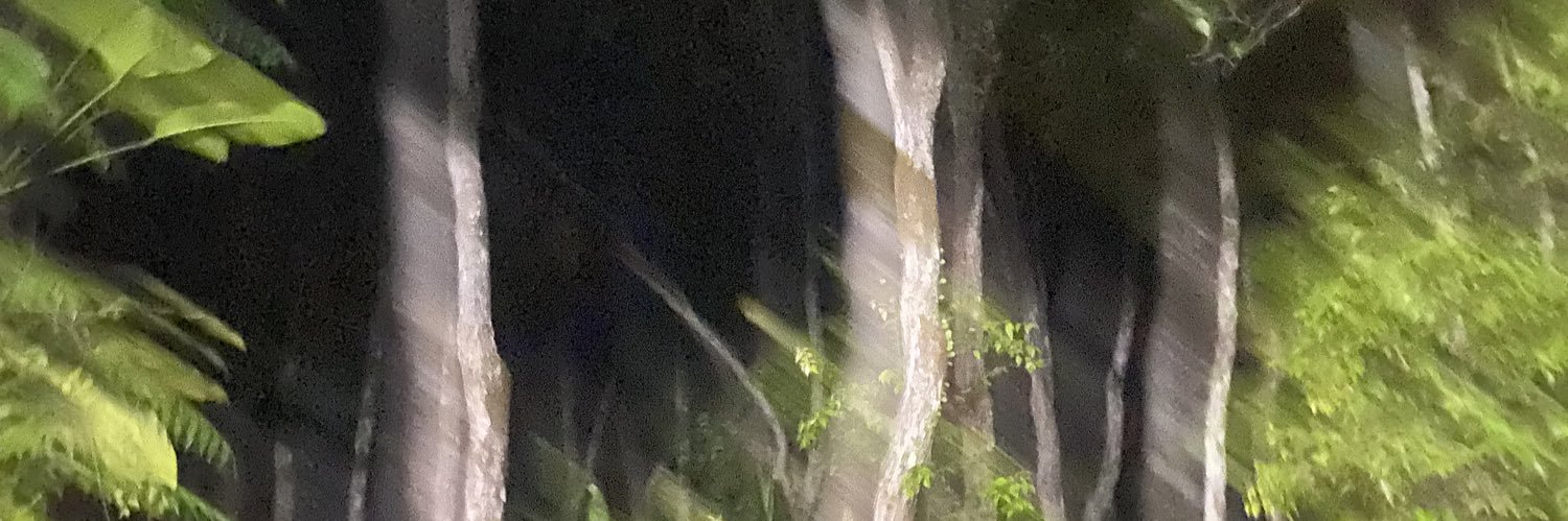 honeysuckleses's profile banner image