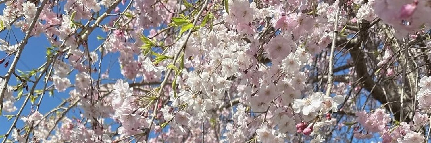 micdema's profile banner image
