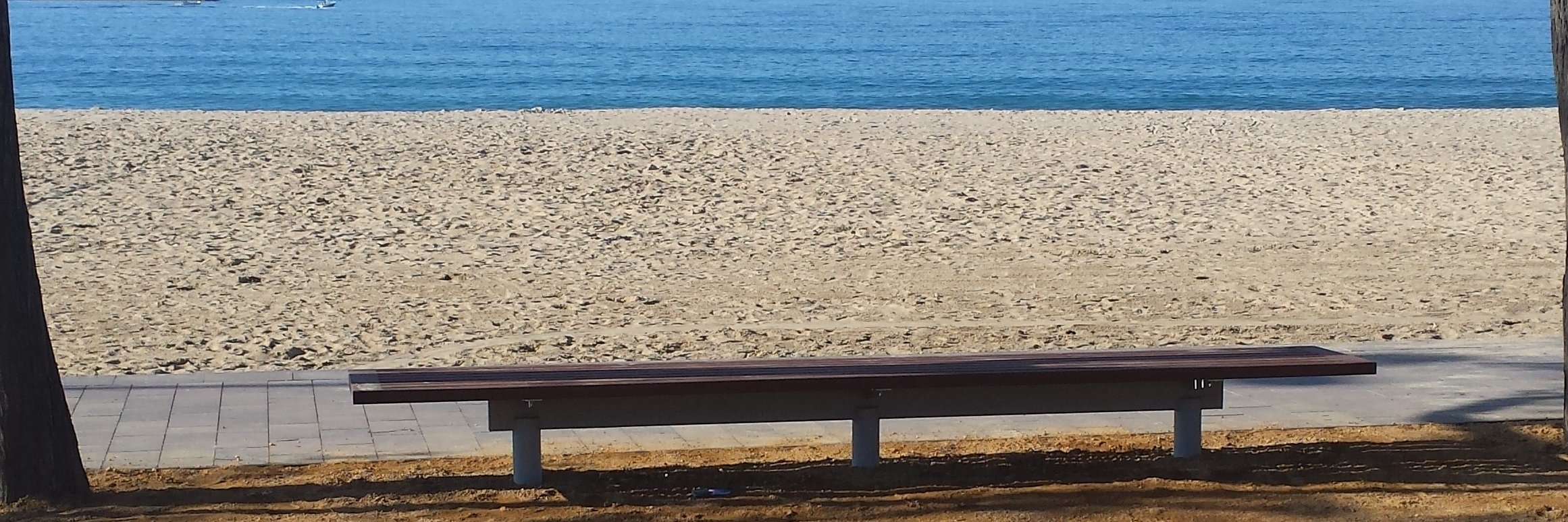 Lluís Calduch Ramos 🎗 banner