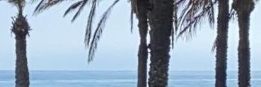 MariCruzQuirs's profile banner image