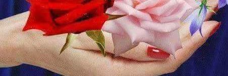 A. Waheed Mir banner