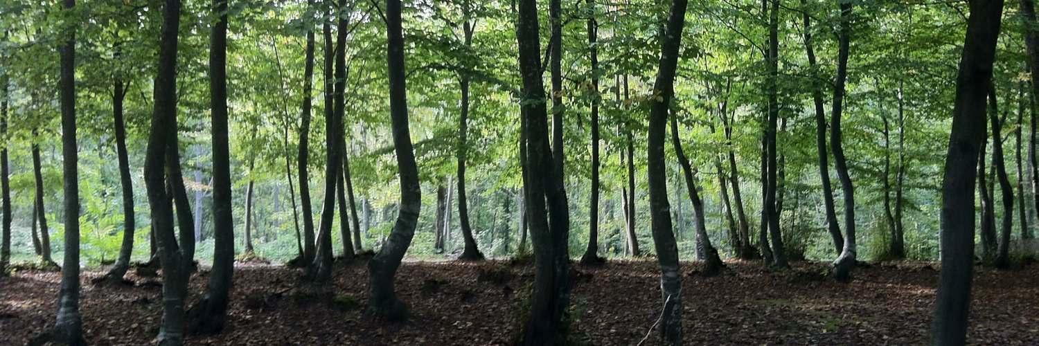 photoobi's profile banner image