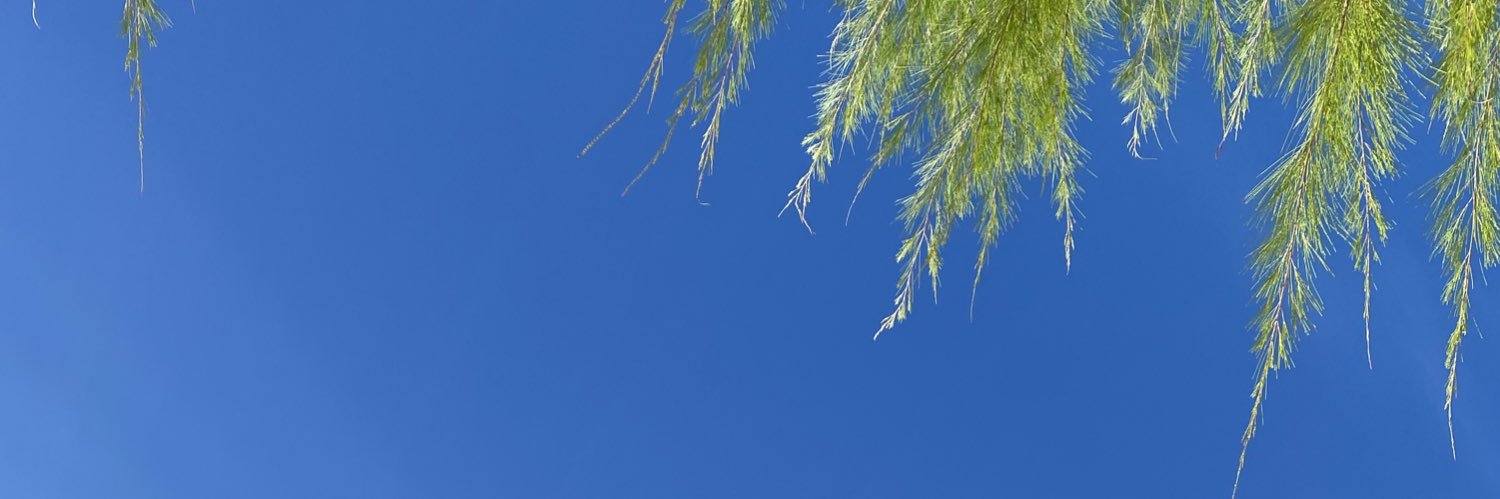 roo_gle's profile banner image
