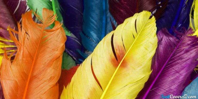olviad's profile banner image