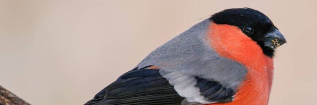 _jamesbudden96's profile banner image