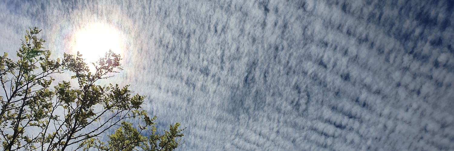 _TuroM_'s profile banner image