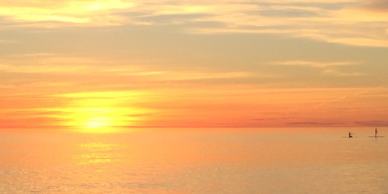 Louiza Hebhardt banner