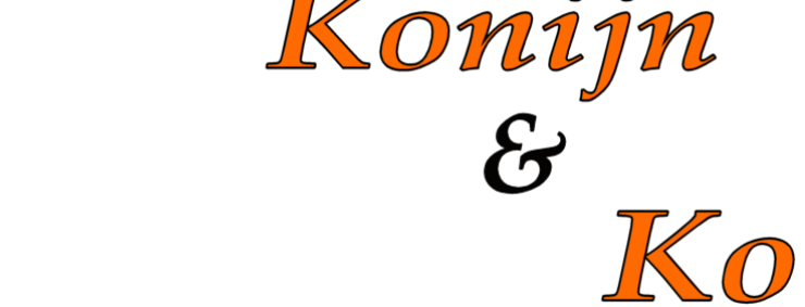 konijnenko's profile banner image