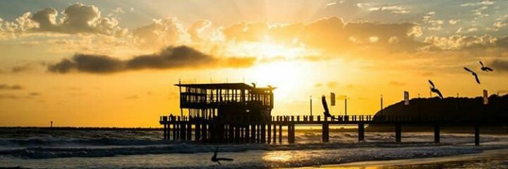 Ticck_DHA's profile banner image