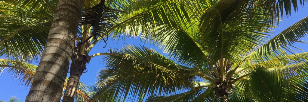 CariFontan's profile banner image