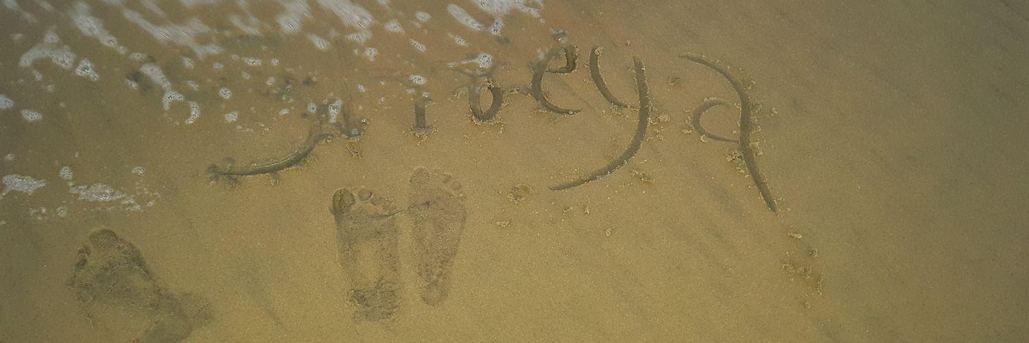 ShreyaCh24's profile banner image