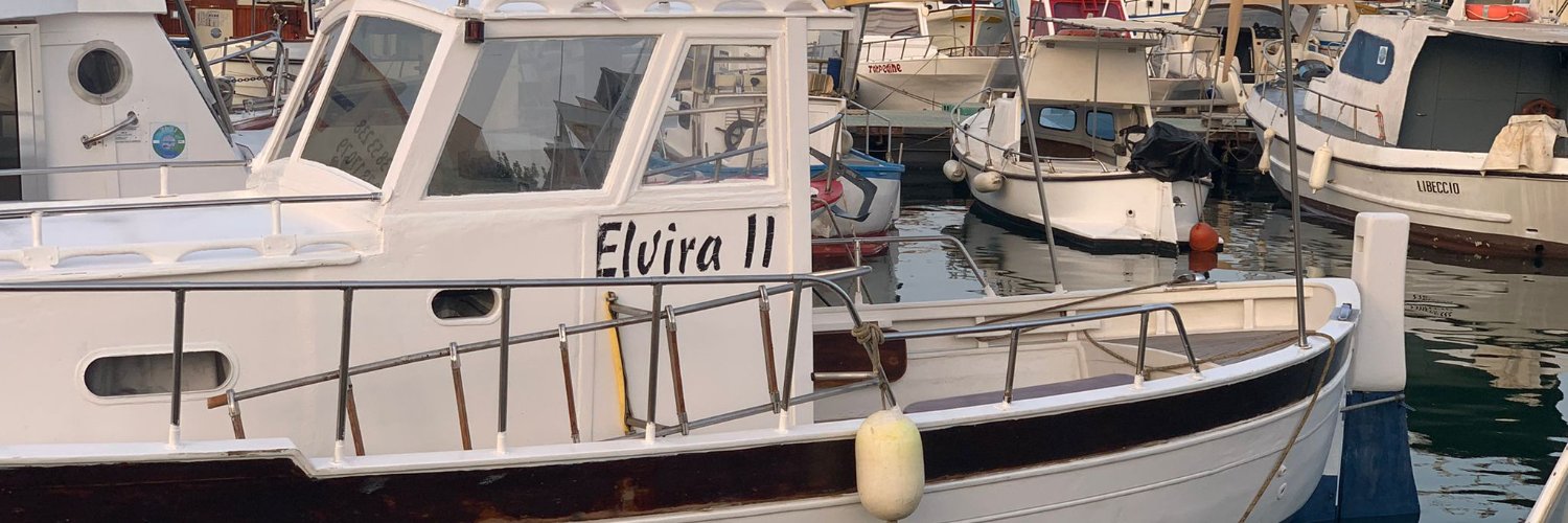 elvipal's profile banner image