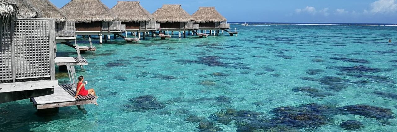 Aurélie Frex banner