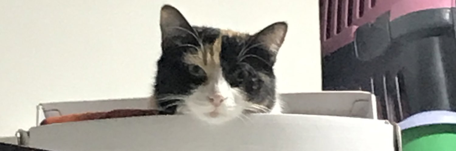 Belkideyamac's profile banner image