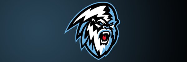 WHLWpgICE Profile Banner