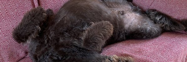 goatattack Profile Banner