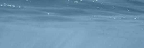 StephPedrazzi Profile Banner