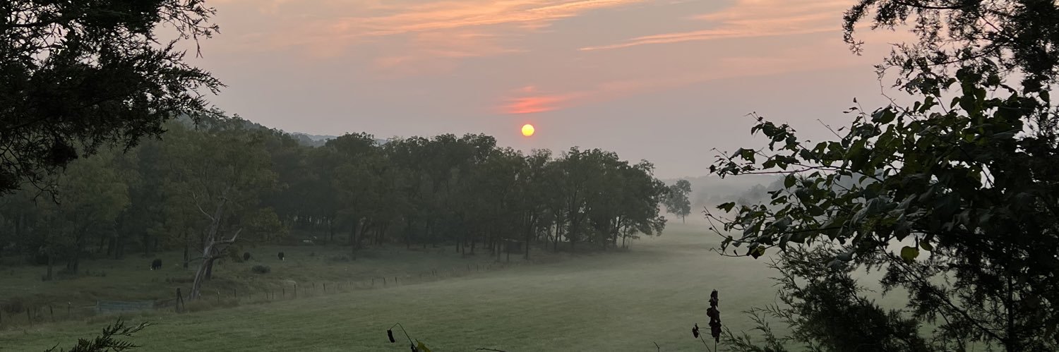 Kristen Hardy banner