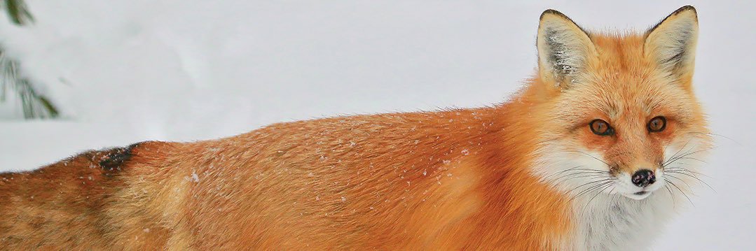 DrawnToYeol's profile banner image
