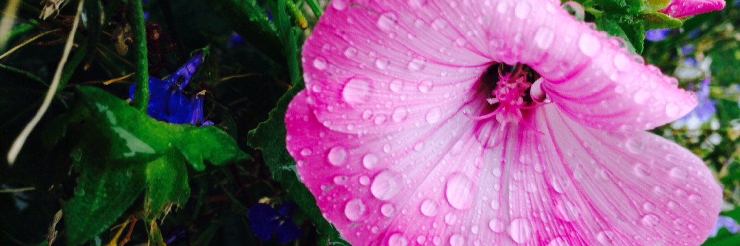 emaskutela's profile banner image