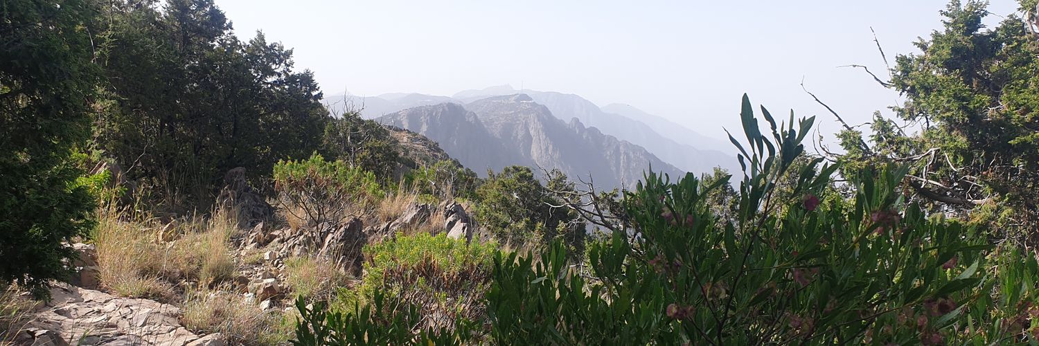 HAlaskary's profile banner image