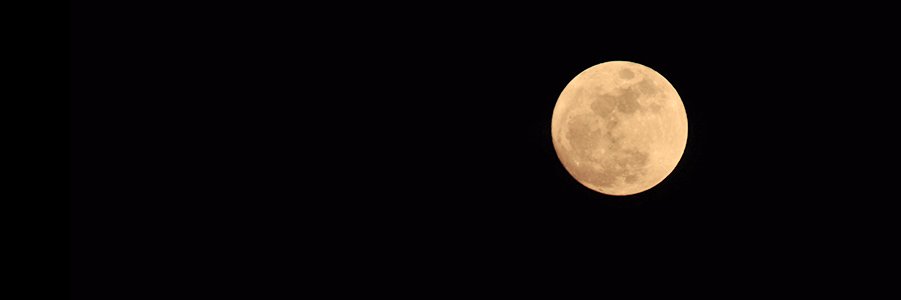 TKitty_23's profile banner image