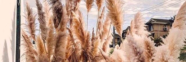dias_pratami's profile banner image