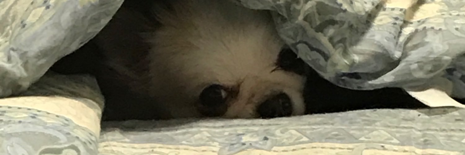 lovecat1103's profile banner image