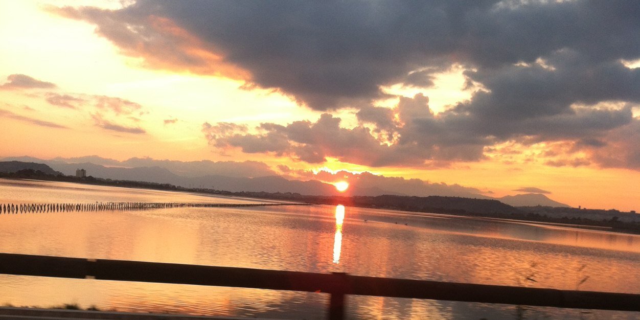 francesca blunda banner