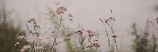 Shmokh_997's profile banner image