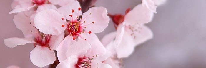 a_adi_lah's profile banner image