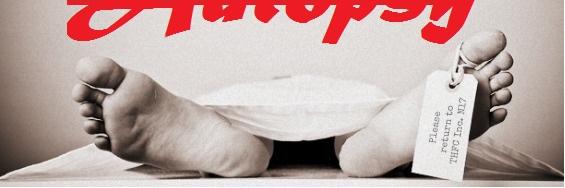 Arsenal_Autopsy's profile banner image