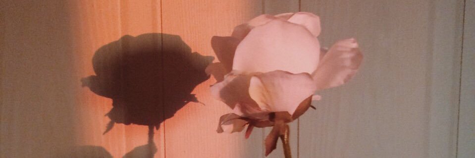 ValeriyaAdeeva's profile banner image