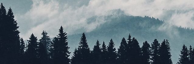 _nataliabritoo's profile banner image